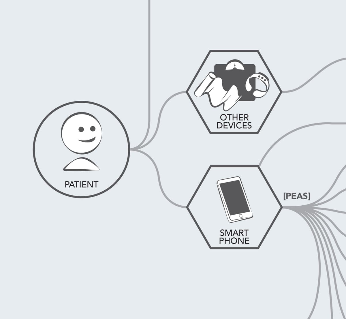 Care Plans Ecosystem